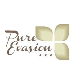 Institut Pure Evasion