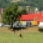 Werkstatt JFK Horse World AG
