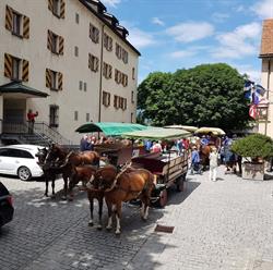 Rössliposcht