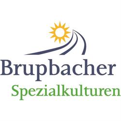 Brupbacher Spezialkulturen