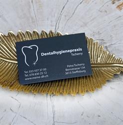 Dentalhygienepraxis Tscherry