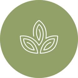 New Leaf Akupunktur