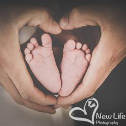 New Life Photography