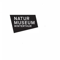 Naturmuseum und Keralas Chindermuseum