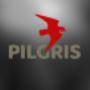 PILGRIS: Logo, Website