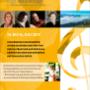 Rigi Musikatage: Flyer, Plakate
