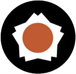 Shobukan Karate Club Zürich