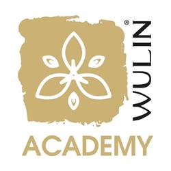 WU LIN Academy