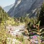 Lauterbrunnen - Trachsellauenen