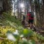 Wengen - Wandern