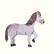Kinderkleiderbörse Pony