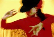 Arte Flamenco