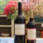 Wein - Mode - Kunst