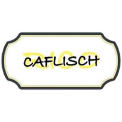 Rico Caflisch Plattenbeläge