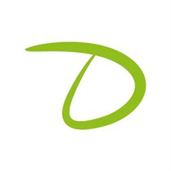 Stiftung Domino