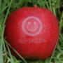 # 2