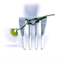 Catering & Event Services GmbH
