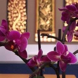 One eleven - thai massage