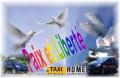 Service & Chauffeurdienste