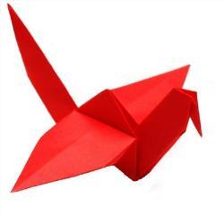 Greybirds GmbH