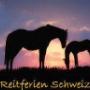 Von einem Besucher am 20.12.2016 hochgeladen