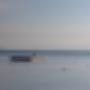 Blick auf den Zürichsee