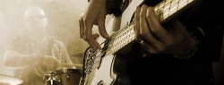 Roger Gasser - Musiklehrer, Gitarren