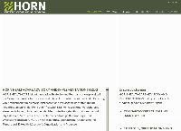 Website von Horn Healthcare Advisory and Implementation