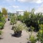 Emmanuel Petermann, Horticulteur - Paysagiste
