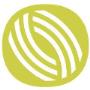 Beratung und Coaching