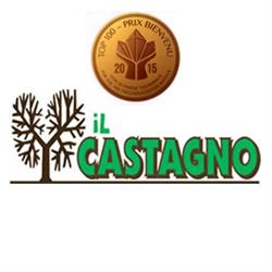 Hotel il Castagno