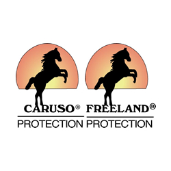 CARUSO & FREELAND GmbH