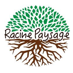 Racine Paysage