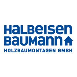Holzbaumontagen