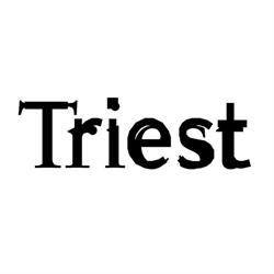 Triest Verlag GmbH