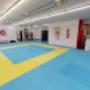 Kyokushinkai Karate Ebikon/Luzern