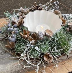 Blumen Mathys & Co