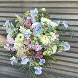 Blumen Mathys & Co