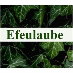Blumengeschäft Efeulaube