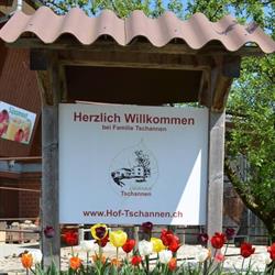 Hof-Tschannen