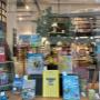 Schaufenster Sommer