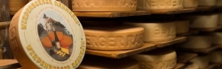 Käserei Sax GmbH
