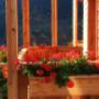 Blumenbalkon zum verweilen