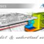 Multiphysik