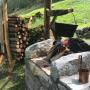 Picknick im Grünen