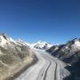 Alpenrundflug