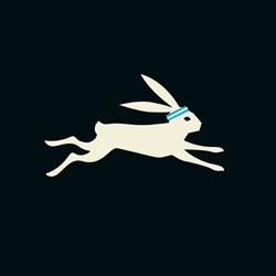 THE WHITE RABBIT