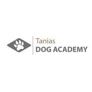 Dog Academy