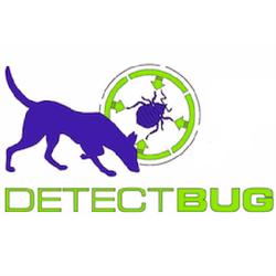 detect