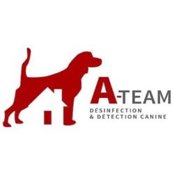 A-Team Désinfection
